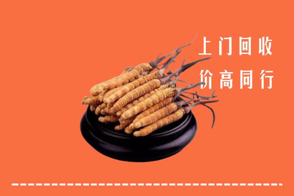 高价求购：绵阳市江油回收散虫草