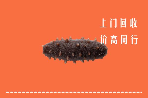 高价求购：绵阳市江油回收海参