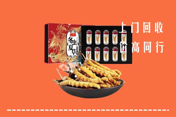 绵阳市江油回收虫草